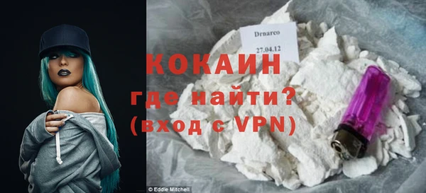 винт Инта