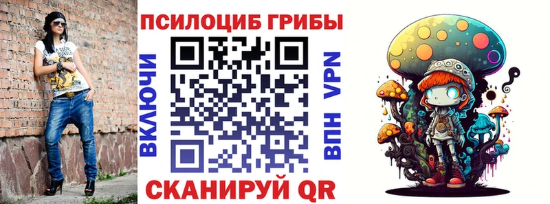 Псилоцибиновые грибы Psilocybe  Бирюсинск 