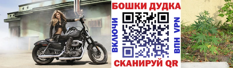 Бошки Шишки сатива  Бирюсинск 
